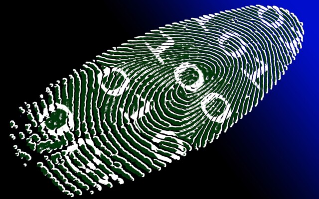 Leis de verificação de idade serão aplicadas em todos os sistemas operacionais na Califórnia